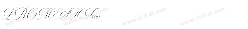 PROMESH Two字体转换